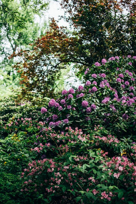 James Owen tweet media