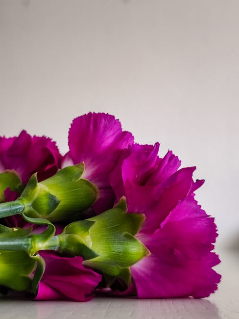 Jennifer Alexander tweet media