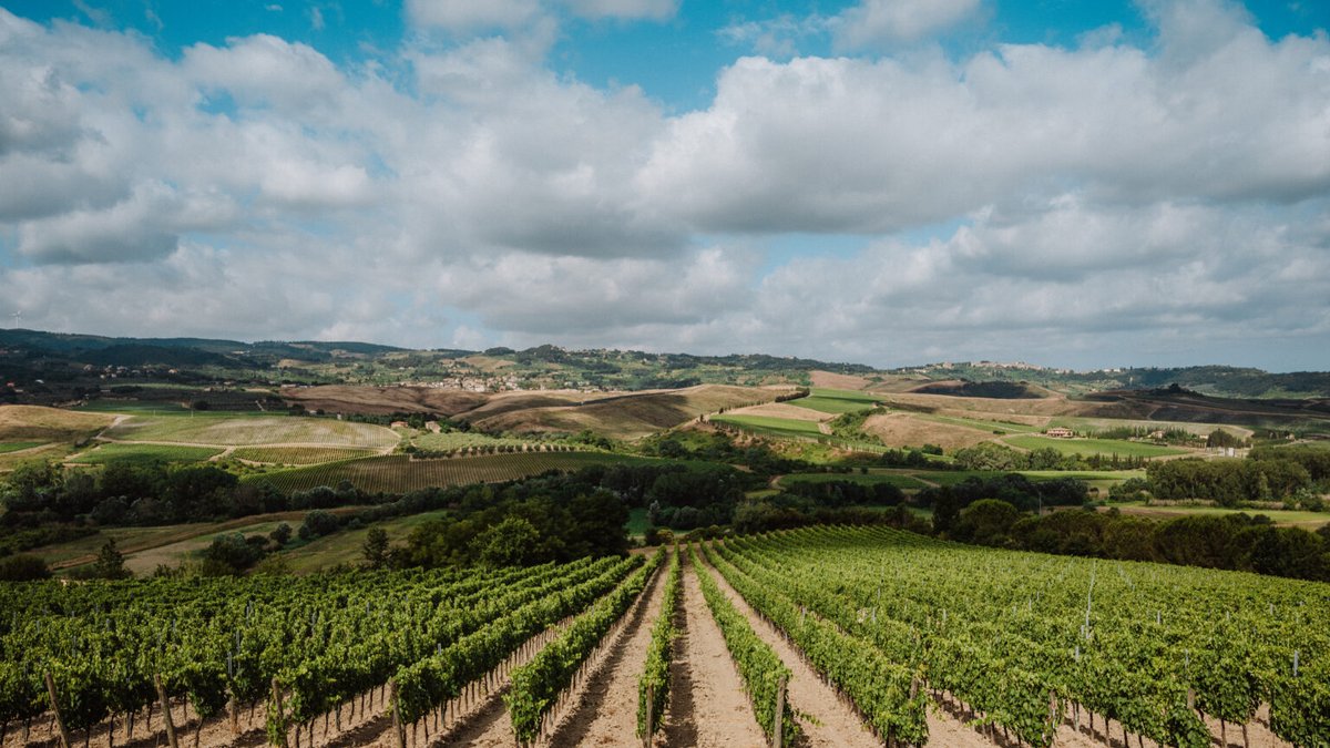 Toscana – Terre di Pisa: un piccolo gioiello toscano
#terredipisa #toscana #vinodabere 
vinodabere.it/toscana-terre-…