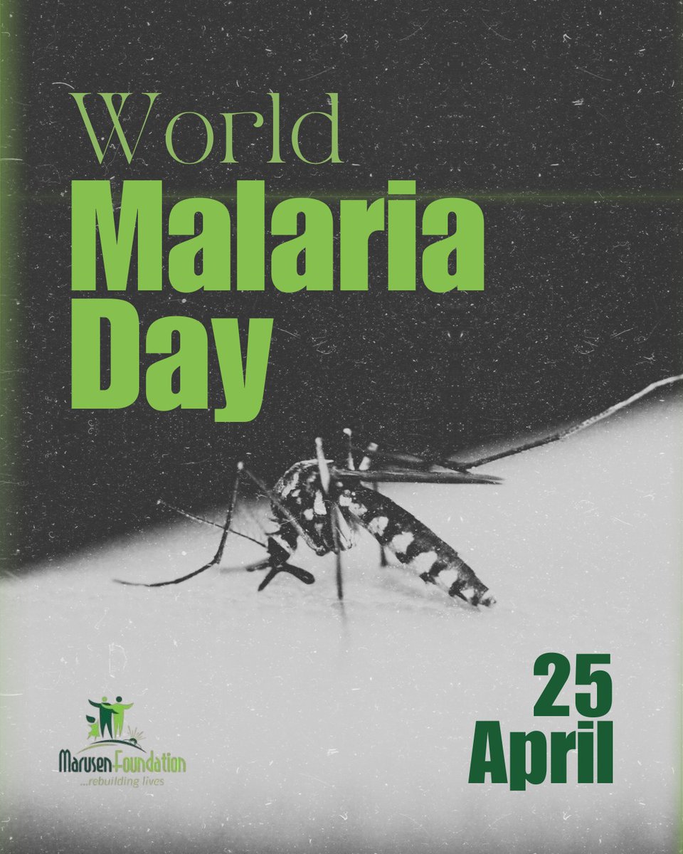 MarusenF's tweet photo. 🦟 World Malaria Day
Malaria is preventable and treatable  yet it still affects millions.
Let’s protect our communities through awareness, prevention, and early treatment.
#WorldMalariaDay #EndMalaria #MarusenFoundation https://t.co/N2otoCZkyC