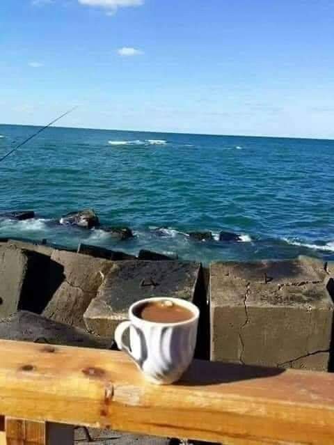 🇪🇬⚖️🏹Amira Mohamed tweet media