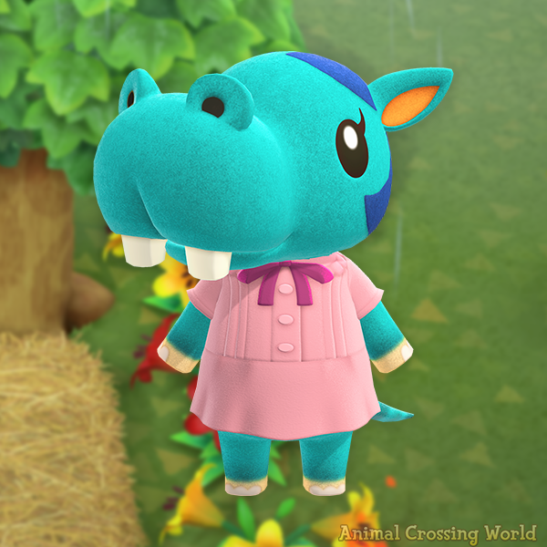 Animal Crossing World 🏝️ tweet media