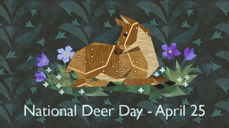 Deer in Places they Shouldn't Be tweet media