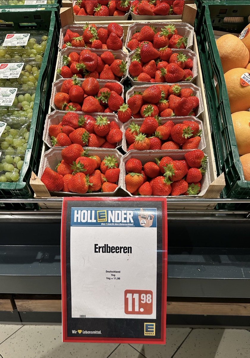 Intoleranter💙 tweet media