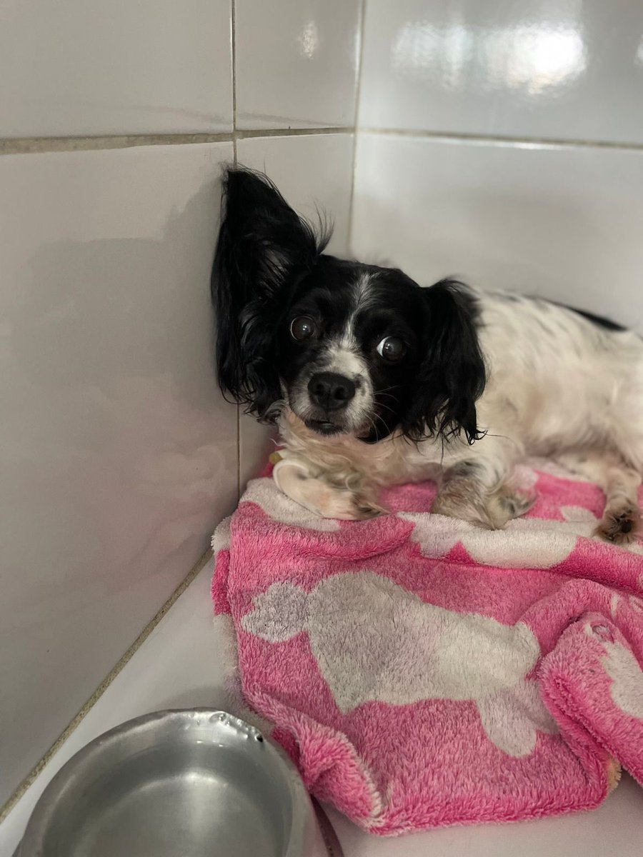 thay⁷ ‘ tweet media