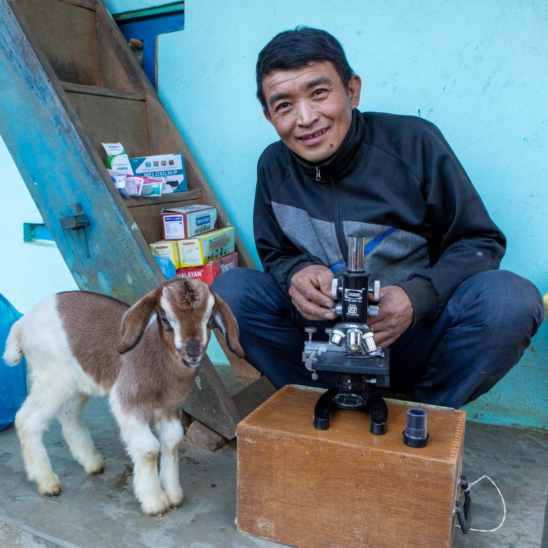 Heifer International tweet media