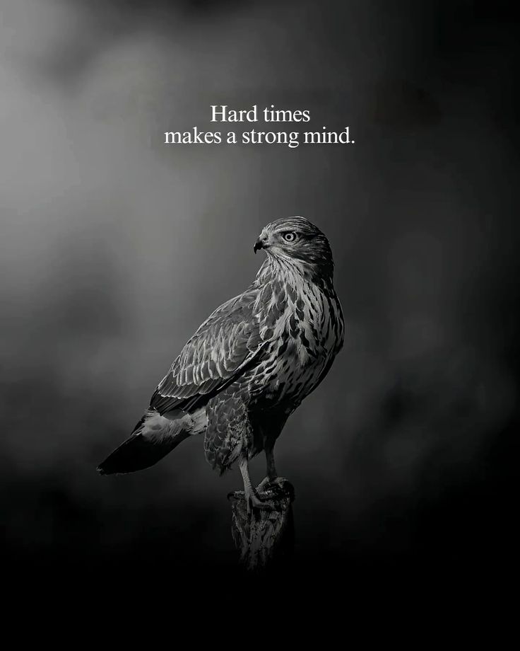 Cold Heart tweet media