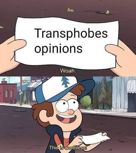 People with Inconvenient Truths about Transphobes tweet media