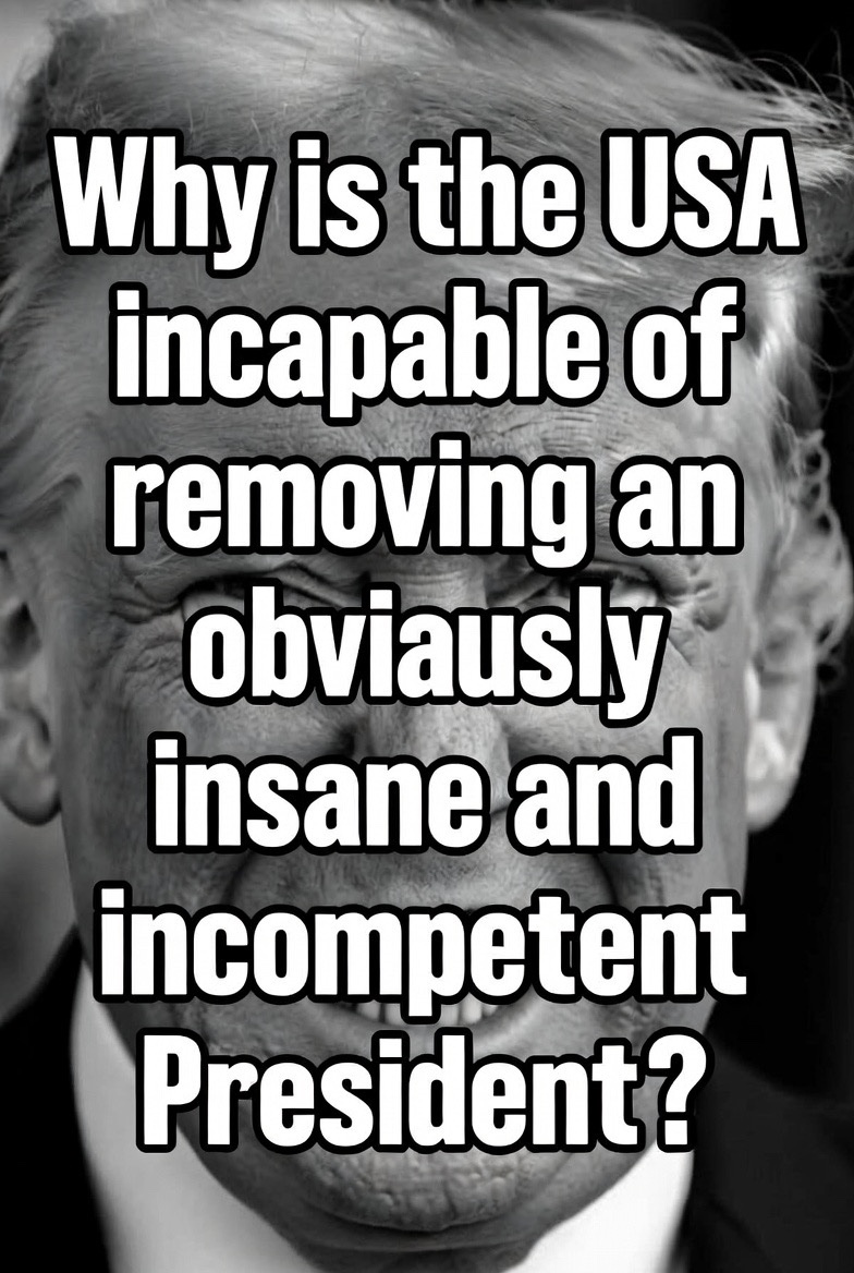 Mia 🇺🇸 tweet media