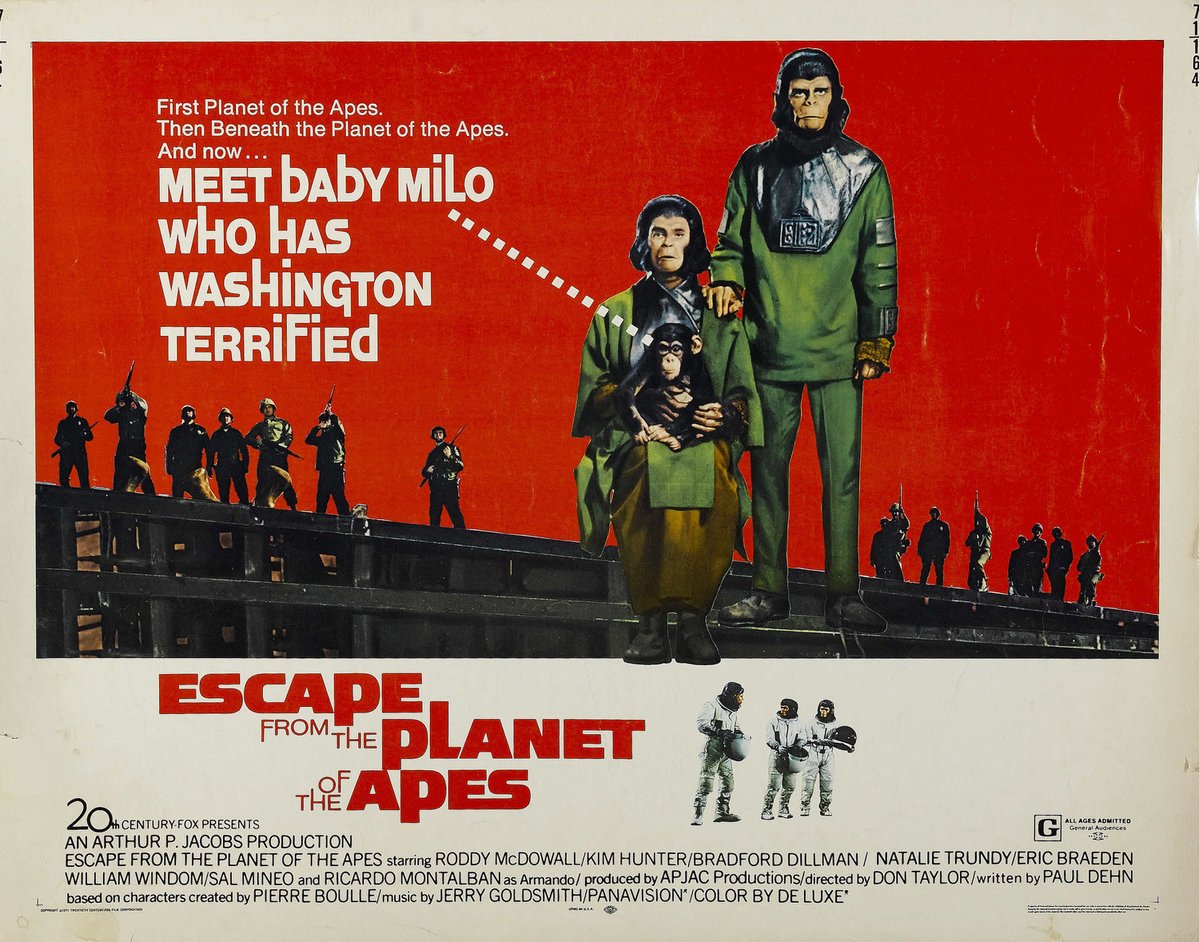 Scott McCrea Adventures tweet media