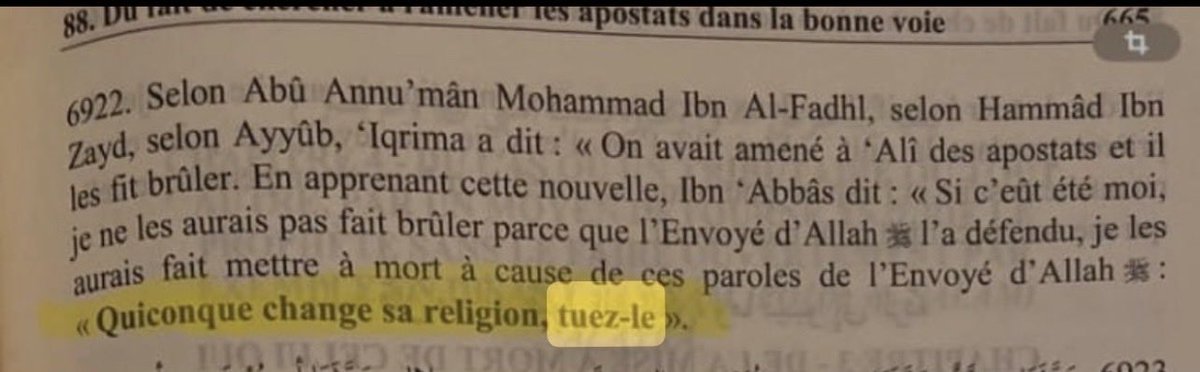 𝘾𝙝𝙖𝙣𝙣𝙖 ✨ tweet media