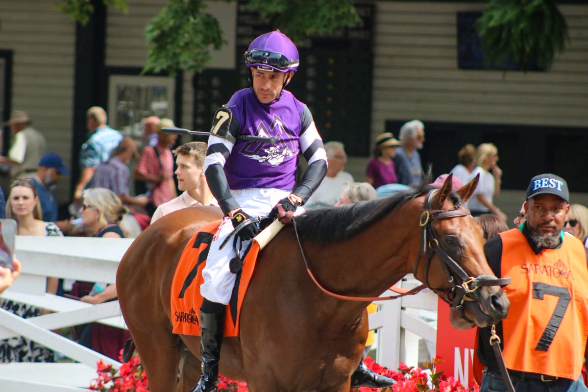 America’s Pastime Stables tweet media