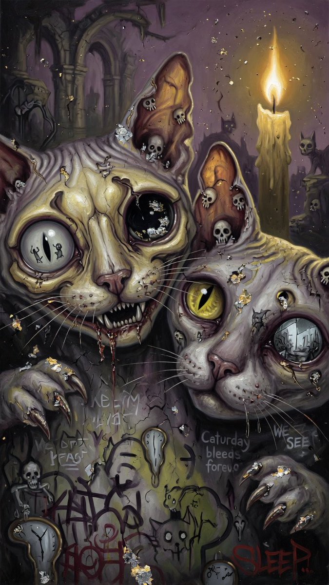 Z6Studios's tweet photo. All cats Welcome : #Caturday #catday #Crazycats https://t.co/91H55bld5Q