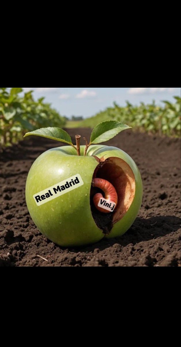 R__M_711_- tweet media