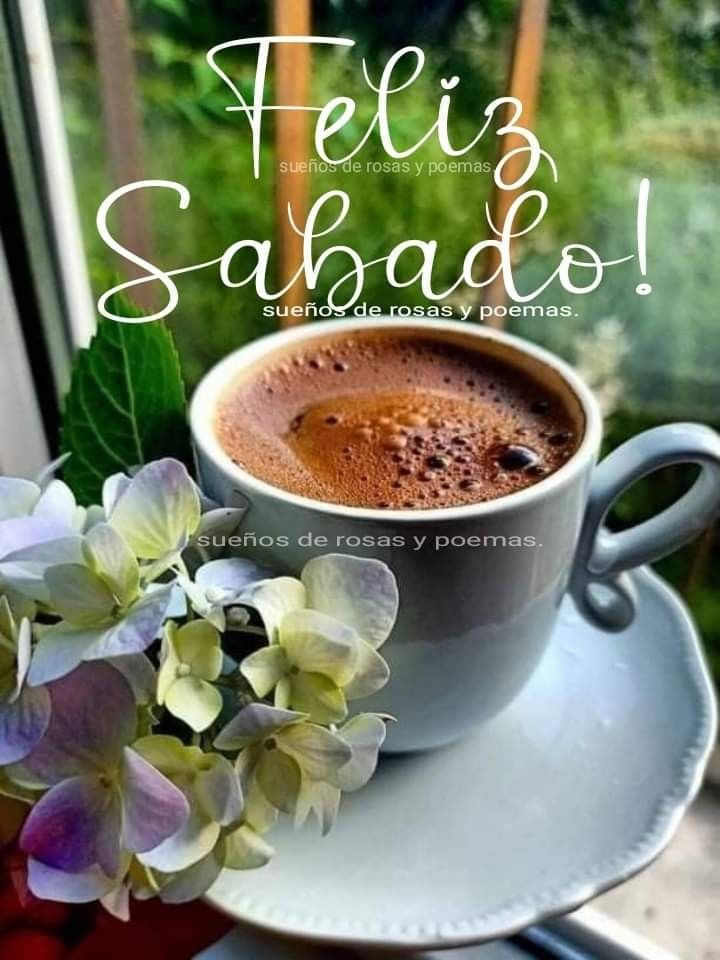 Alondra tweet media