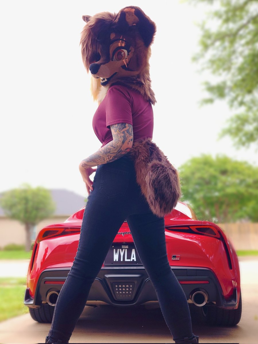 WyldxSide's tweet photo. Wanna go for a ride, girl??? 🐶👀🏎

FuelFest time, expect an obnoxious amount of carposting in my Instagram stories today 🤭✌️ https://t.co/J3Iqbpe7WH