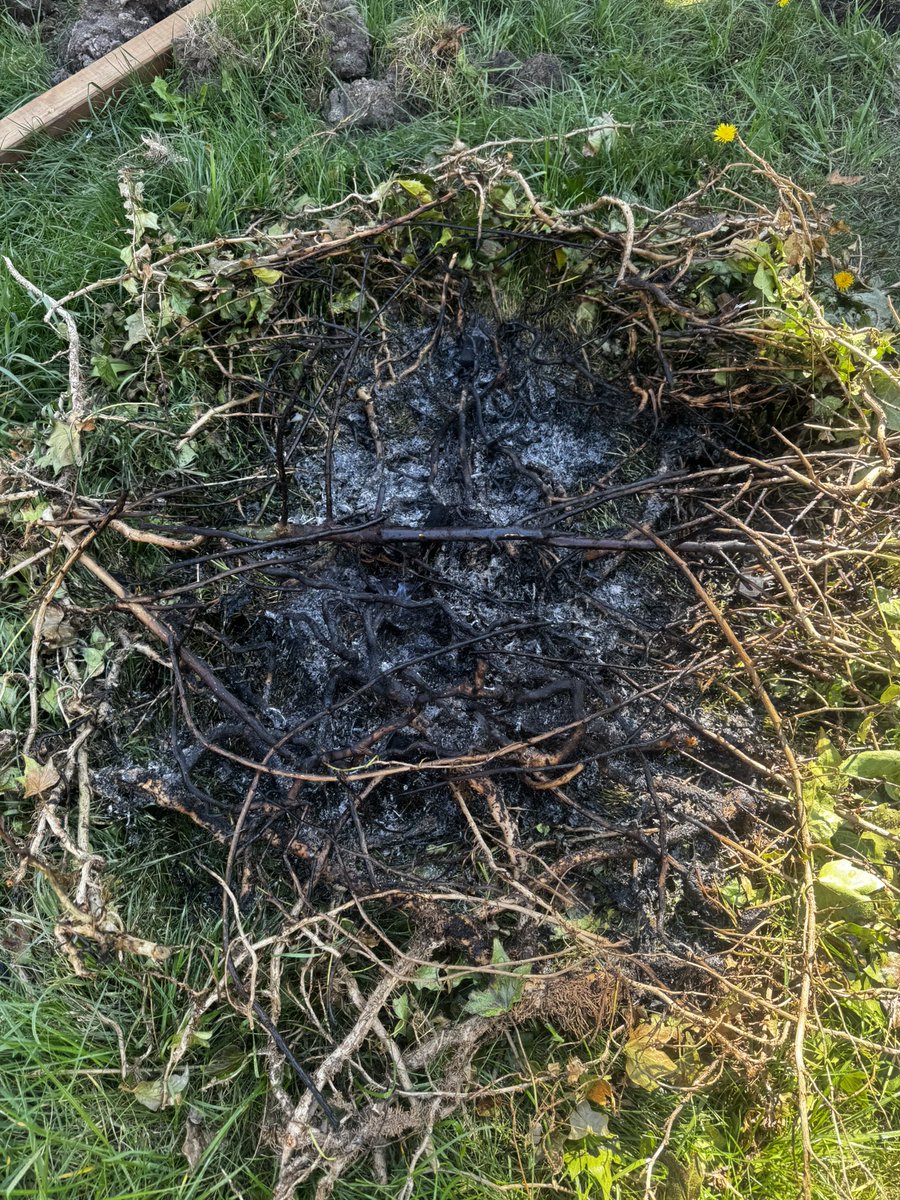 🌱 🍉 tweet media