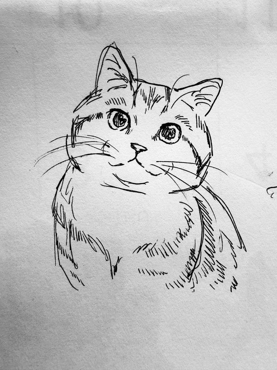 anz_m_'s tweet photo. まあるいねこちゃん🐈

#イラスト #アナログ #猫 https://t.co/pis4XG0tVm