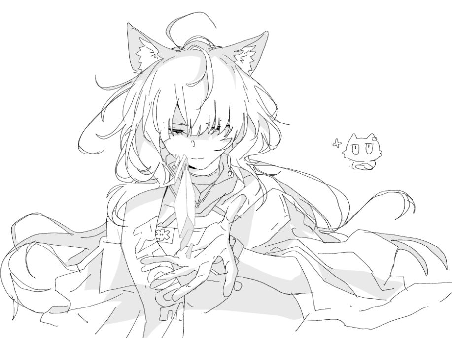 . (@__hham) on Twitter photo 