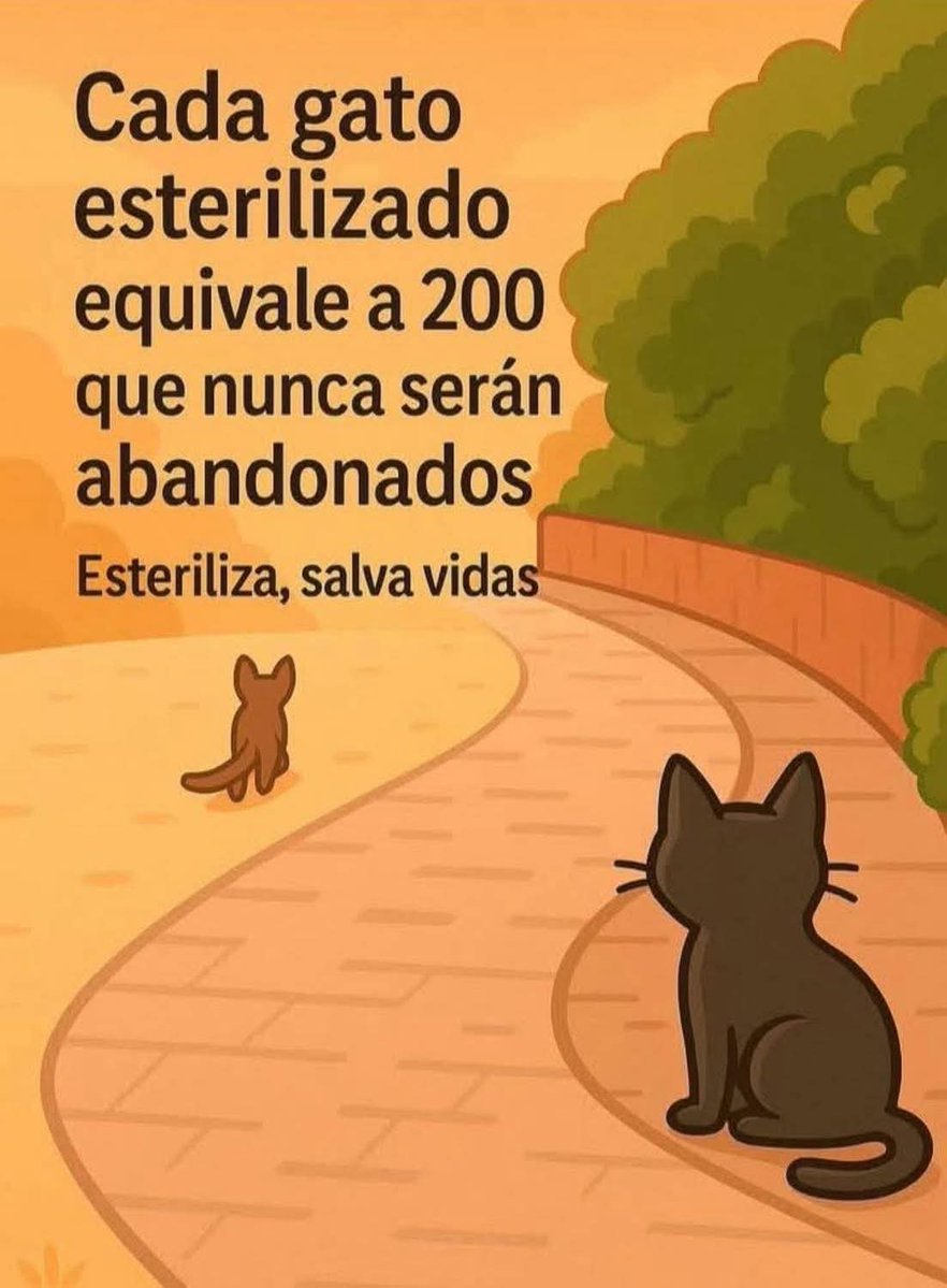 Guate Unida por los Animales tweet media