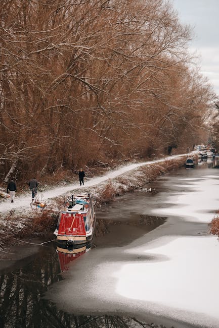 Susan Reed tweet media