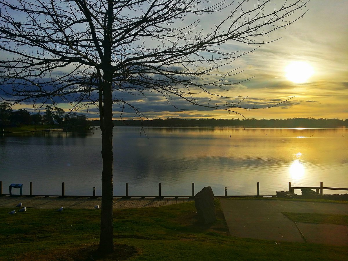 resham chandra tweet media