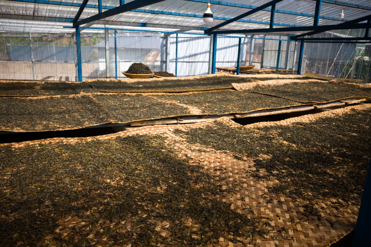 お茶の専門店HOJO tweet media