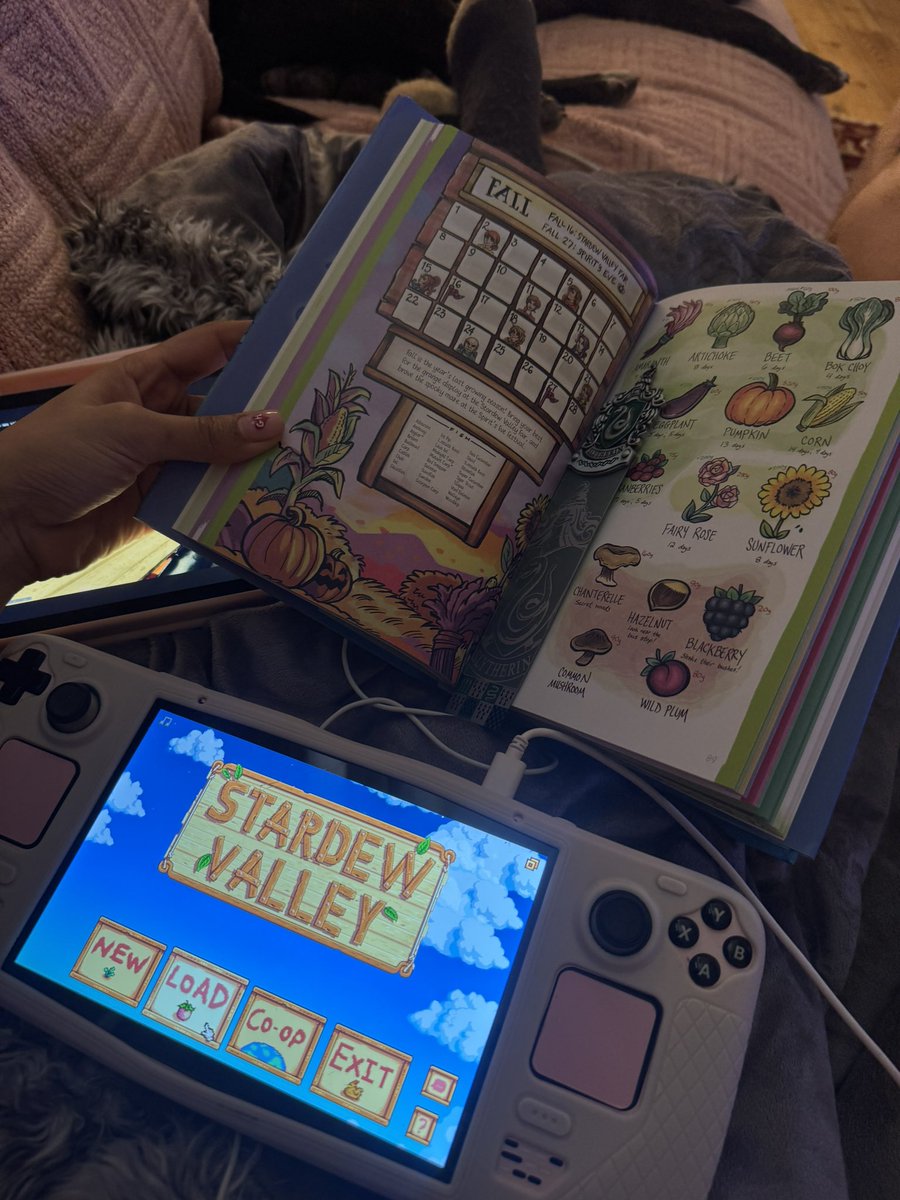 SUNPI🍄 tweet media