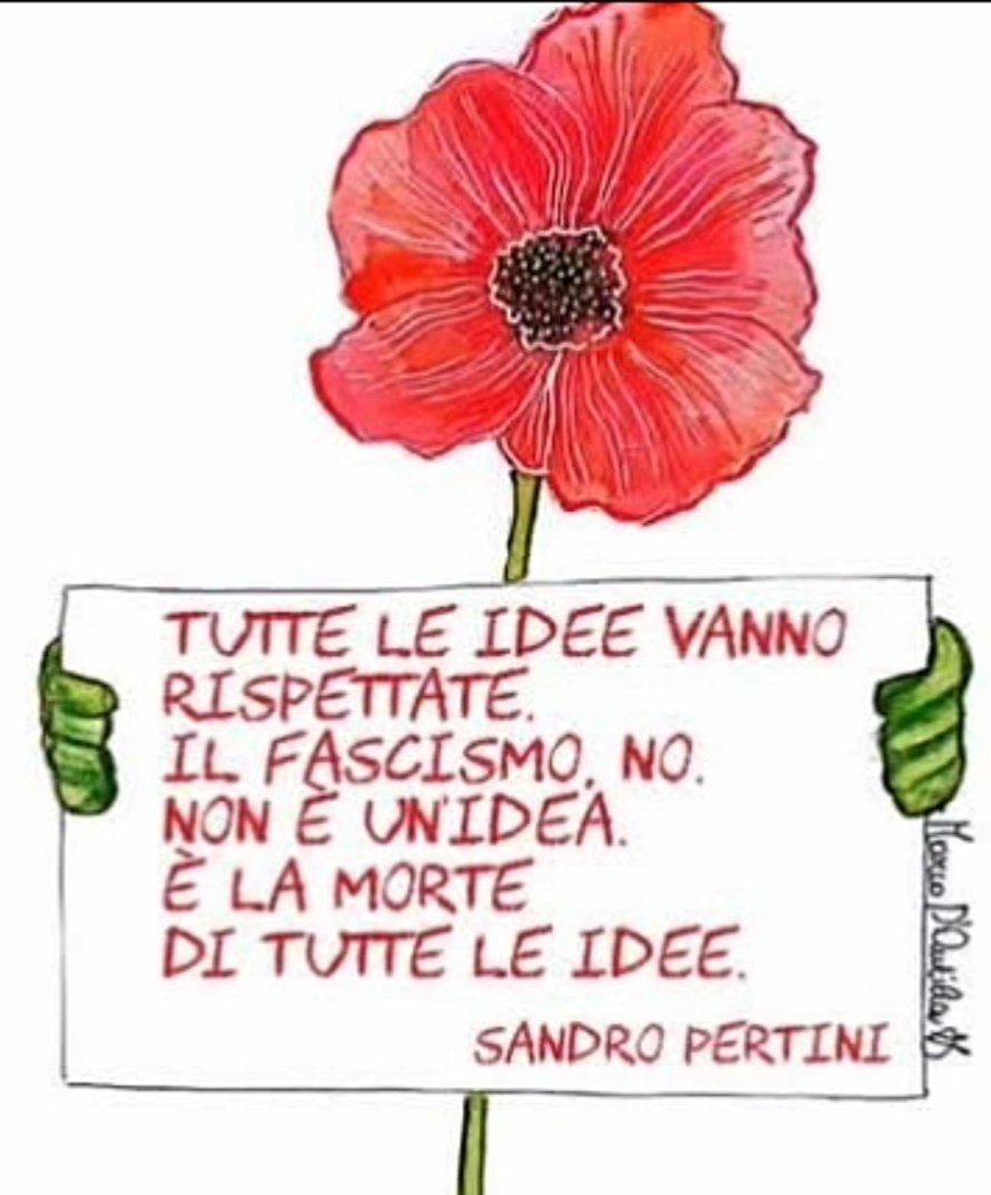 @piera1957 (@piera1957) on Twitter photo 