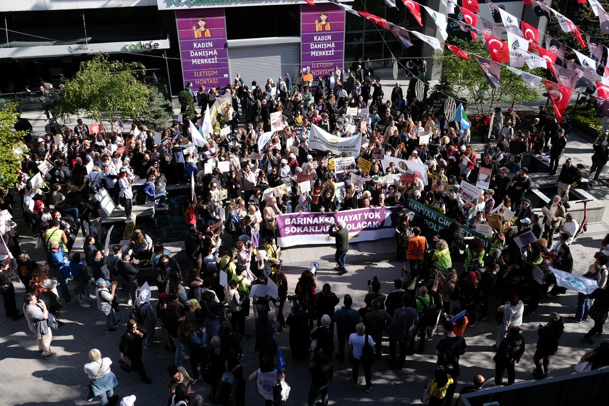 Atilla Dirim tweet media