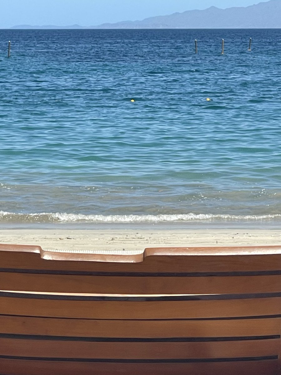 BrooklynMorganJ's tweet image. its
always
about the vibes

always

i am
brooklynmorgan
#inspire