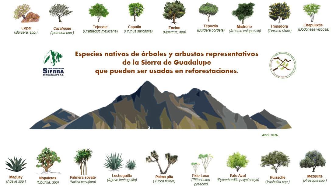 Ramón Hernández tweet media