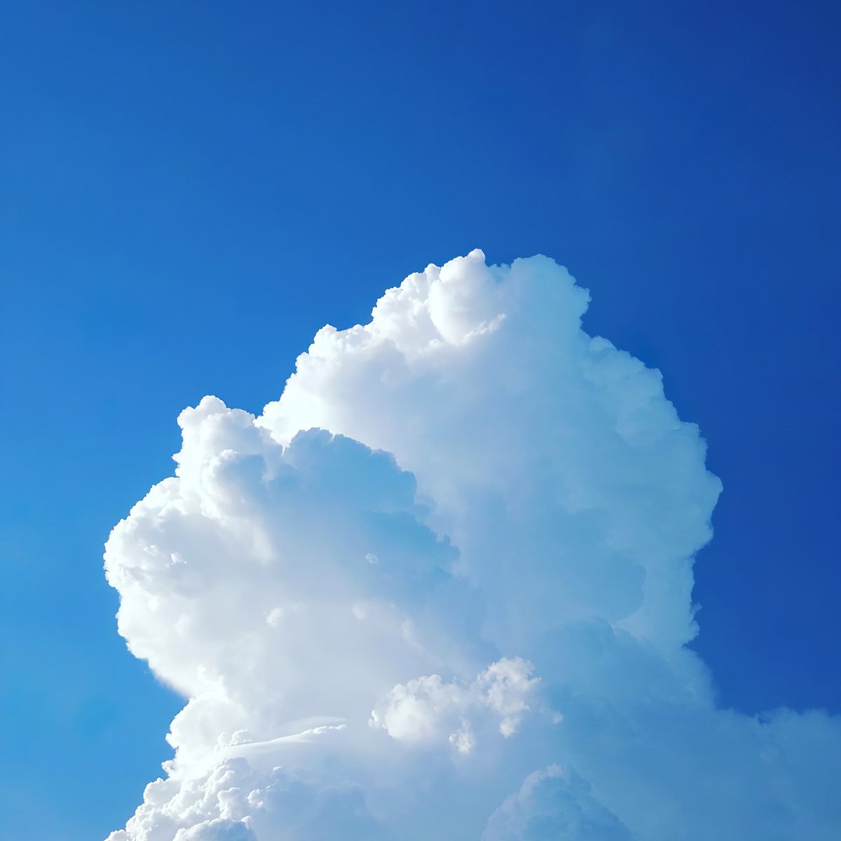 gilda cataldi tweet media