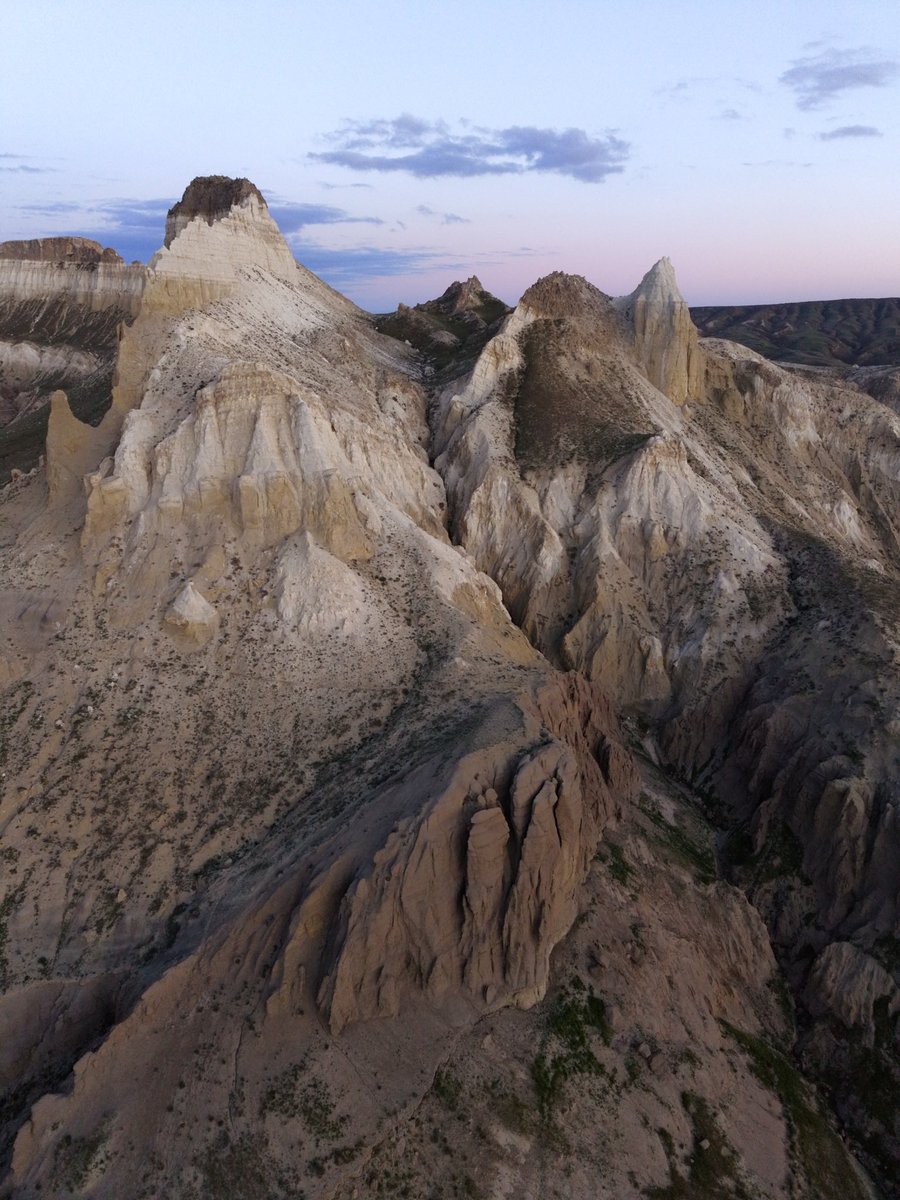 Амбассадор счастья tweet media