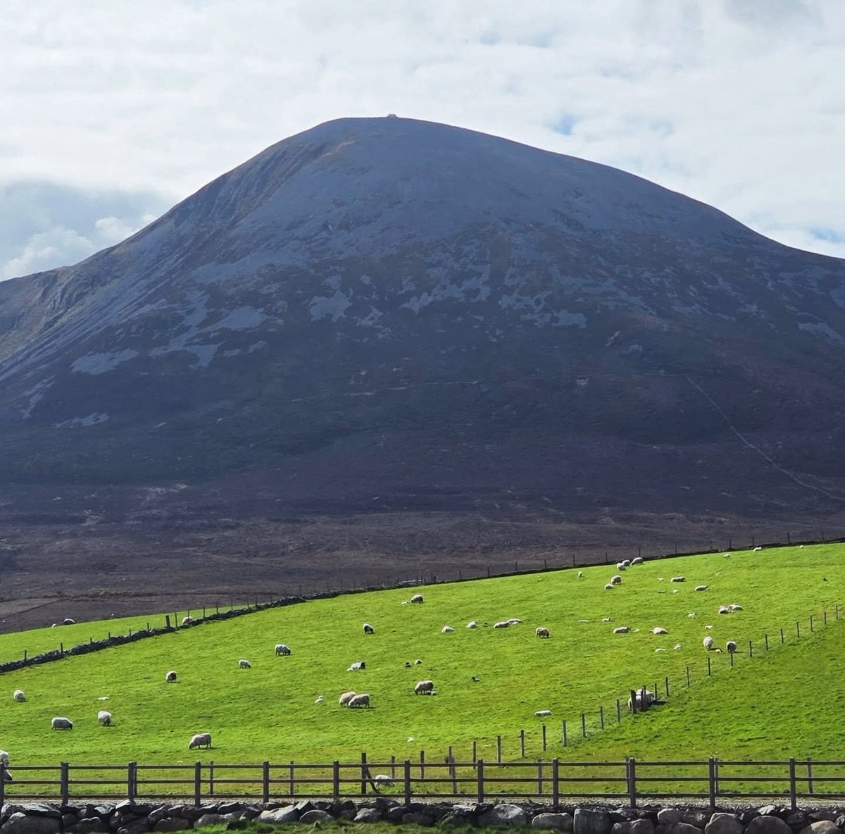ThisIsIreland3's tweet image. "Spring is in the air at the mighty Croagh Patrick" 🏞️⛰️

📍County Mayo-Ireland ☘️ 

📸 irish_ted_

#Spring #Mayo #Ireland  #Croaghpatrick