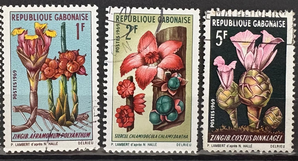 VicenteKster's tweet image. Another A-Z is over… 👀 
Well done @Philatelovely!!!
-Zingib 🇬🇦 
-Zanzíbar
-Zaire
🔍 🔍 
#flowers #stampcollecting #post #postage #sellos #postes #philately 🌺 🌹 🌼🍀🌸🪻💐🌷🌻🪷