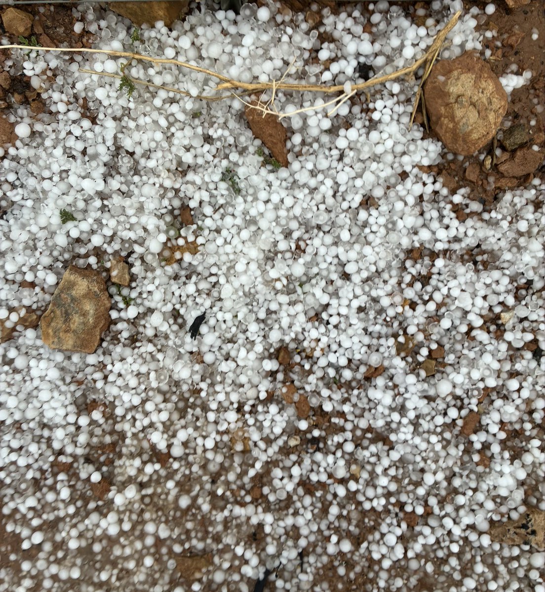 أجمل صدفة ٢٠٢٦ ❄️☃️