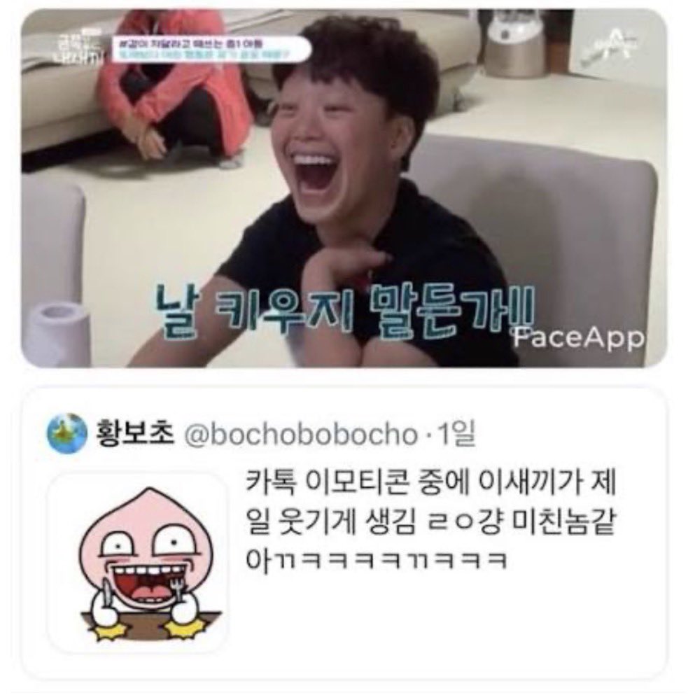 띠냥이 tweet media