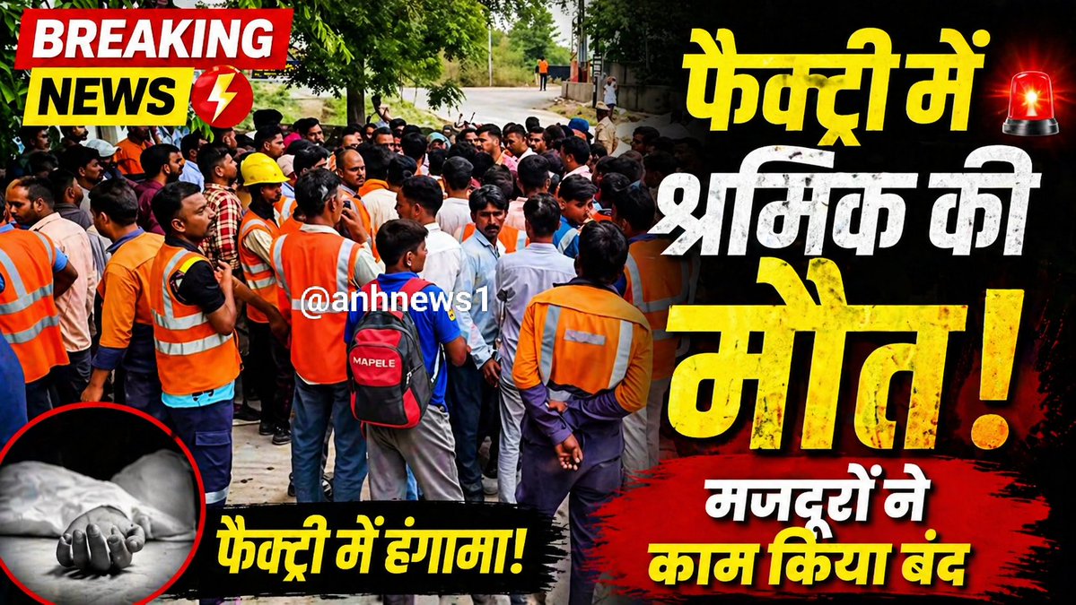 ANH NEWS tweet media