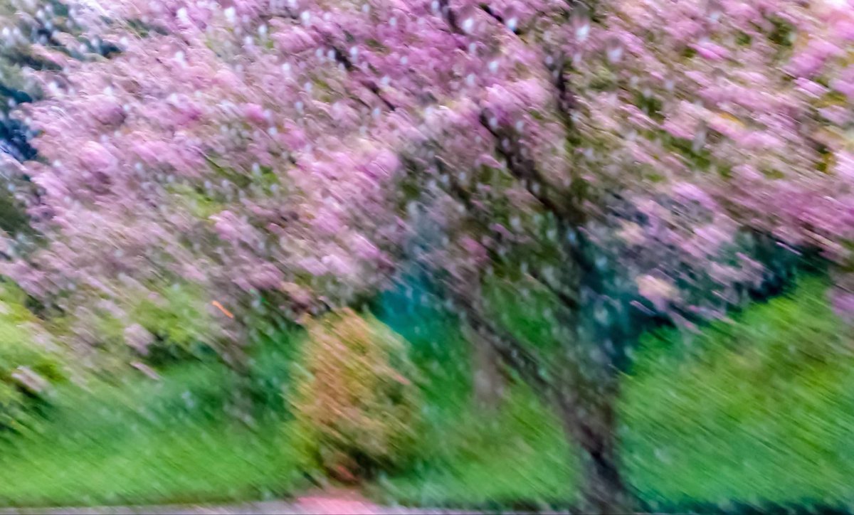 Jo_SNK's tweet image. Photo Challenge: Shot From Inside the Vehicle

#jyoscapes #mobilephotography