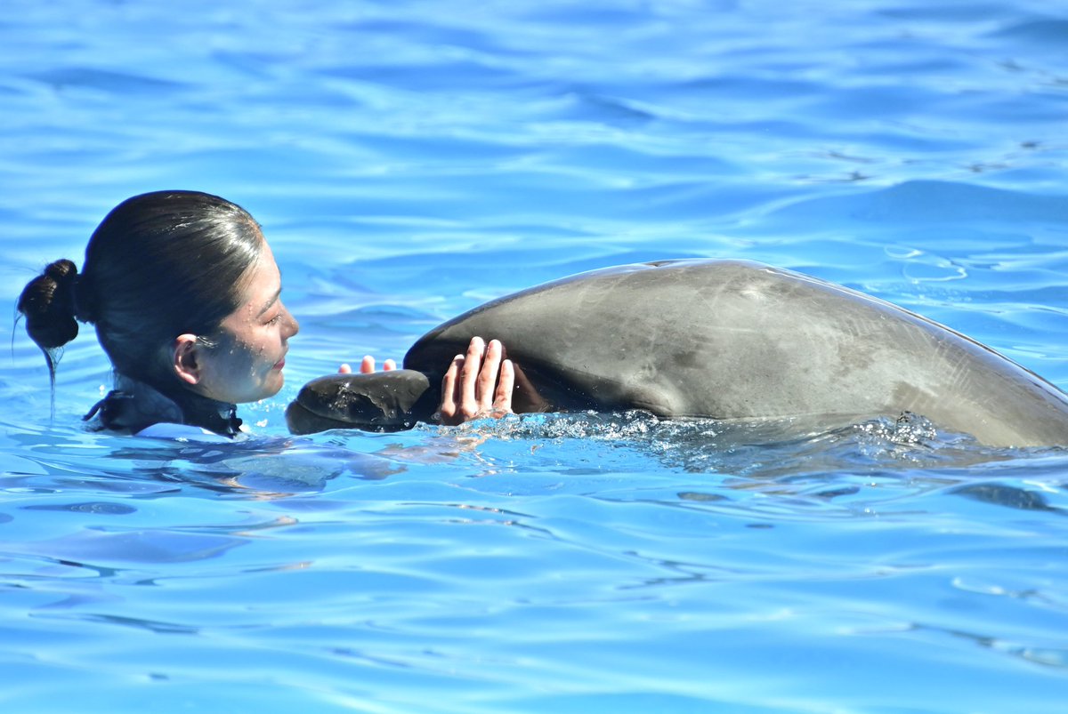 marine_animals_'s tweet image. #アドベンチャーワールド #smiles #NikonD780