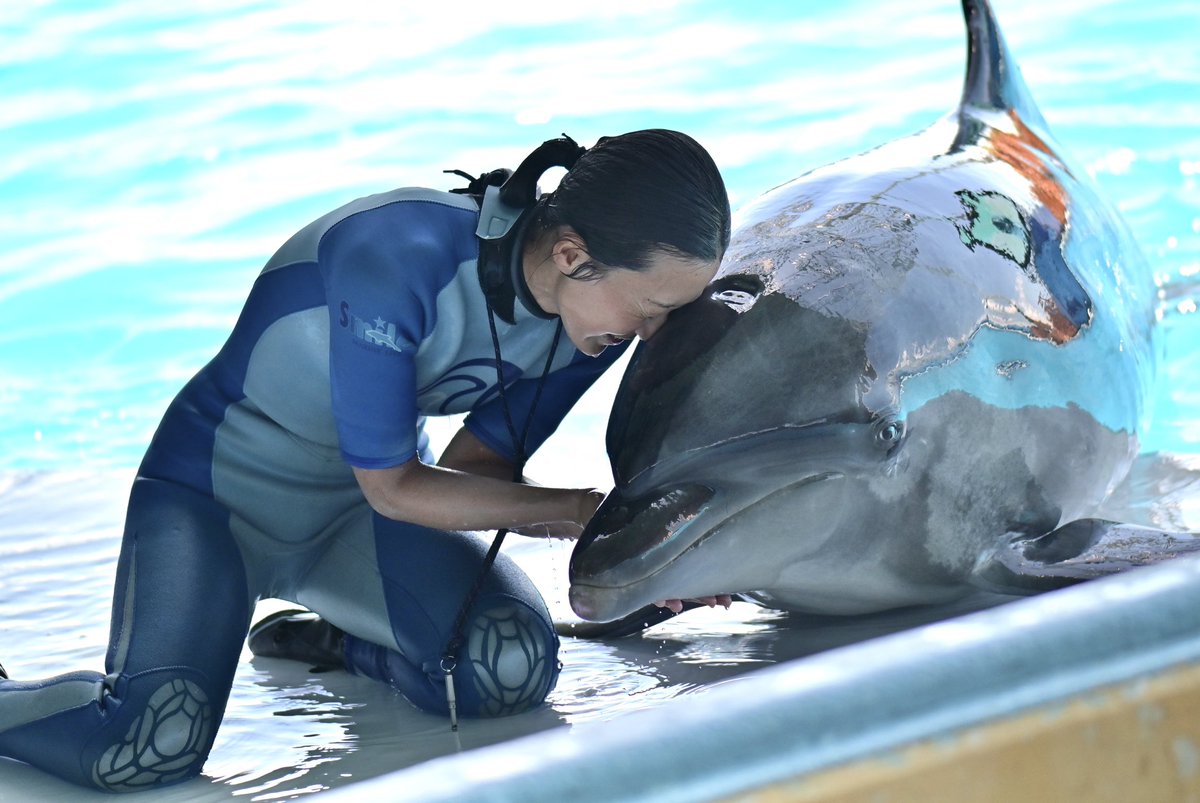 marine_animals_'s tweet image. #アドベンチャーワールド #smiles #NikonD780
