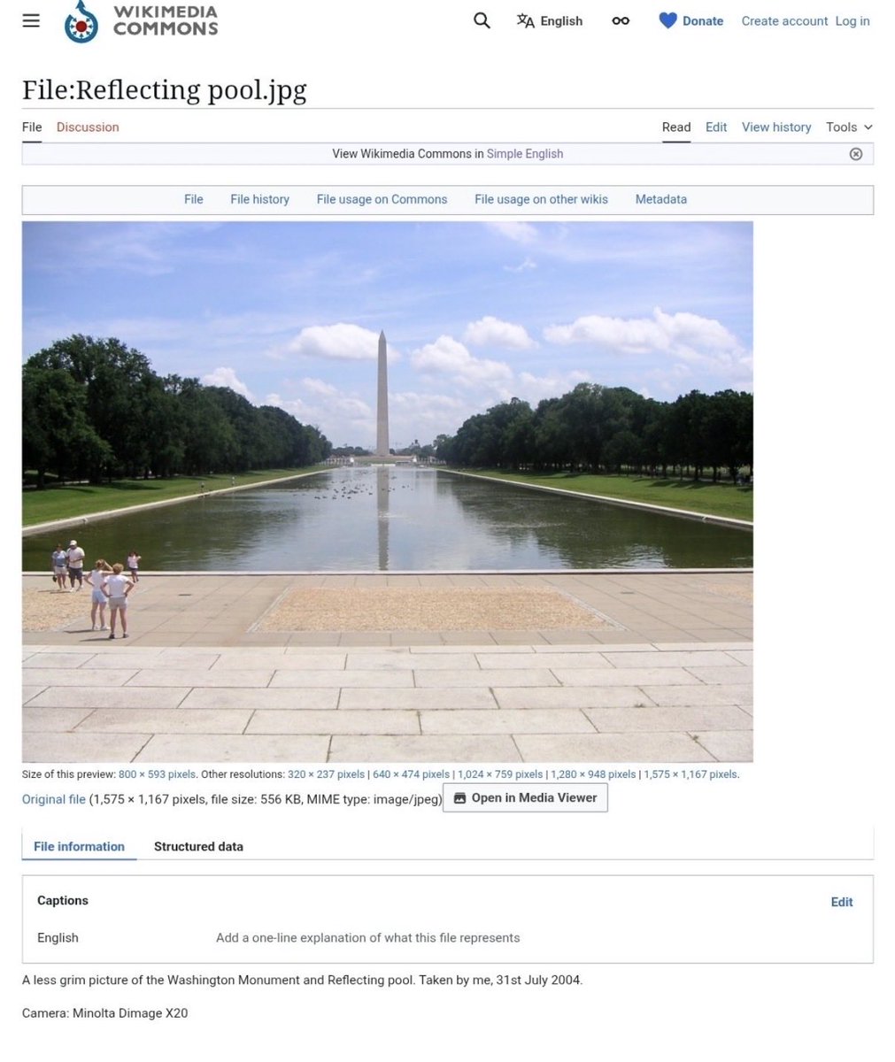 D 🏒 ⚾️ tweet media