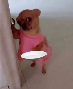 ‎𝘮𝘪𝘭𝘢 𝘧𝘵. 𝘵𝘪𝘨𝘦𝘳𝘭𝘺𝘯𝘹 tweet media