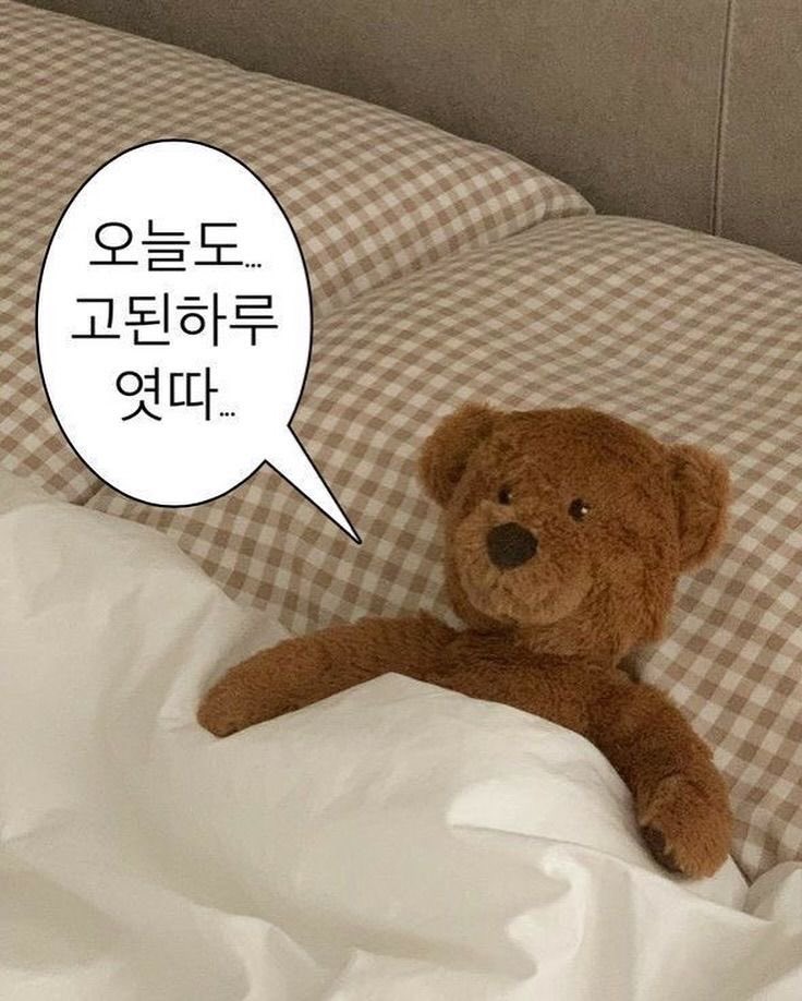 더 버텨보려고했는데 너무 잠이와서 안되겠다
레이디들 나 자러갈게 낼 봐 💖💖