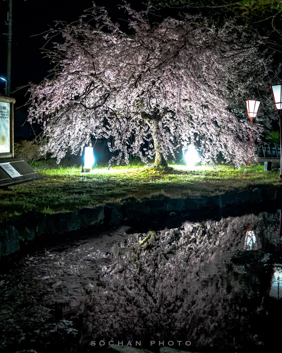 x_sochan's tweet image. 草岡神社の枝垂れ桜③

ᴅᴀᴛᴇ : 2026.4.8
ʟᴏᴄᴀᴛɪᴏɴ : 富山県射水市
sᴘᴏᴛ : 草岡神社

ᴄᴀᴍᴇʀᴀ : SONY α7IV
ʟᴇɴs : FE 24-70mm F2.8 GM II

#SonyAlpha 
#これソニーで撮りました