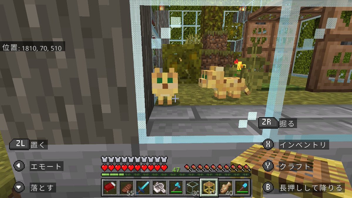 ネコカフェのためにネコあつめた！
カメのプールとヤマネコ小屋も作りましたよ（動物たち頭でかくてかわいくなったけど、カメは前の方がかわいかったと思う）