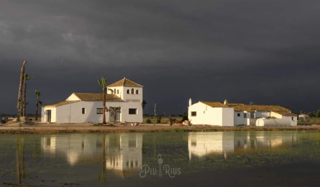 piliriuss's tweet image. Petit resum del q serà la sortida fotogràfica del 17 de Maig al #deltadelebre.  Juntament amb @sibilafc farem una jornada inolvidable.  #tallerfotogràfic