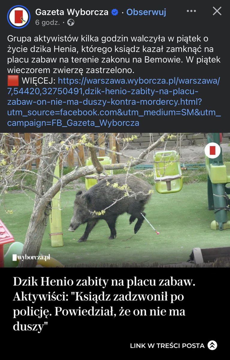 Maciej Popławski tweet media