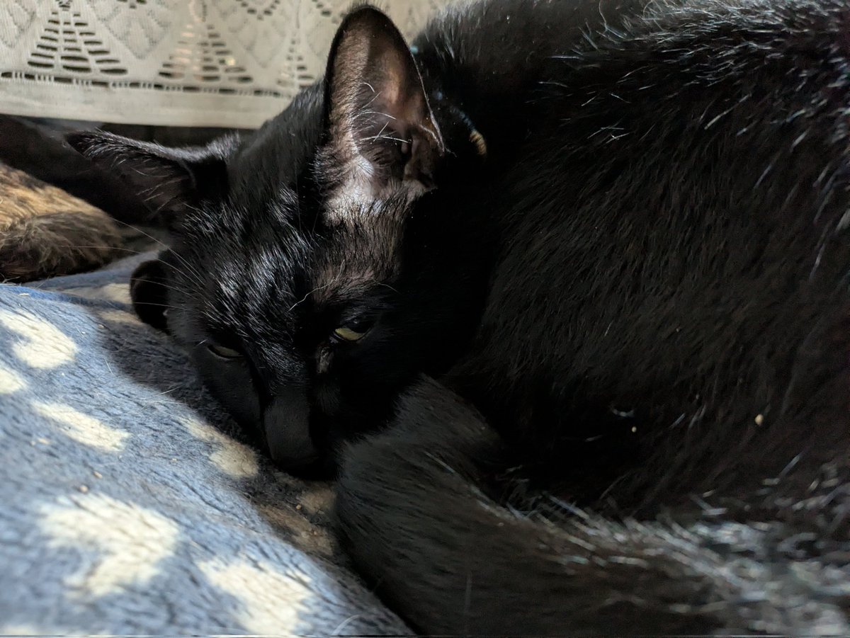 川久保秀一 tweet media